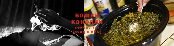 PSILOCYBIN Арсеньев