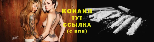 ECSTASY Армянск