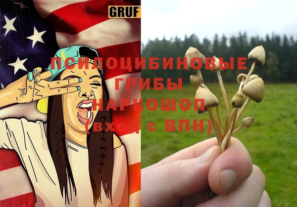 PSILOCYBIN Арсеньев