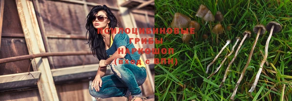 ECSTASY Аркадак